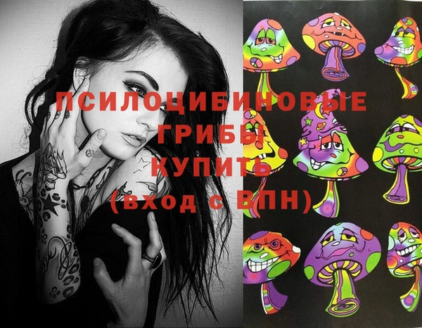 шишки Володарск