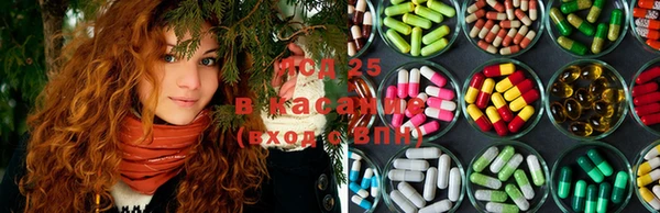ГАЛЛЮЦИНОГЕННЫЕ ГРИБЫ Волосово