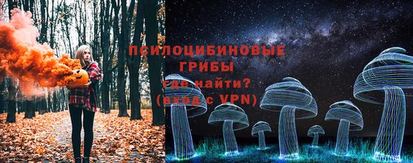 шишки Володарск